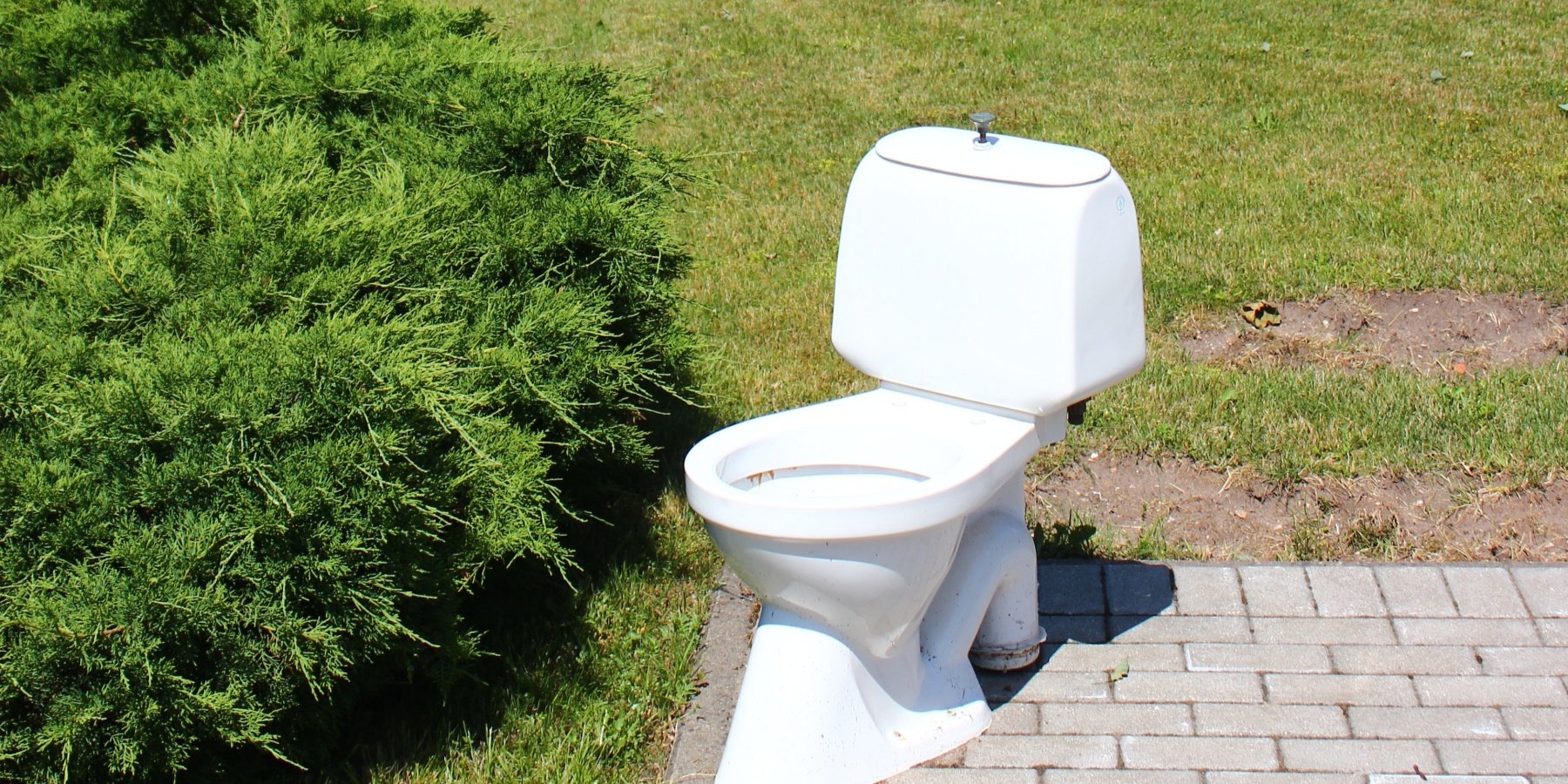 Common Mistakes in Toilet Unclogging
