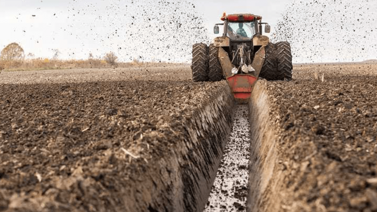 What Parts Make Up The Teeth of A Flail Mower?