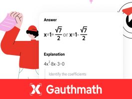 Balancing Professionalism and Personality in Your Personal Statement with Gauth