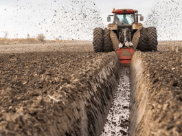 What Parts Make Up The Teeth of A Flail Mower?