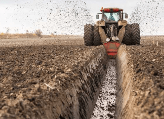 What Parts Make Up The Teeth of A Flail Mower?