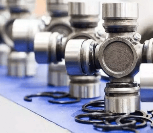 A Beginner’s Guide to Freeze-Drying with a Mini Freeze Dryer Machine